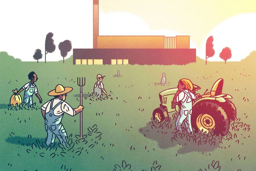 A soybean seed led Brazilian farm workers to industrialized jobs.