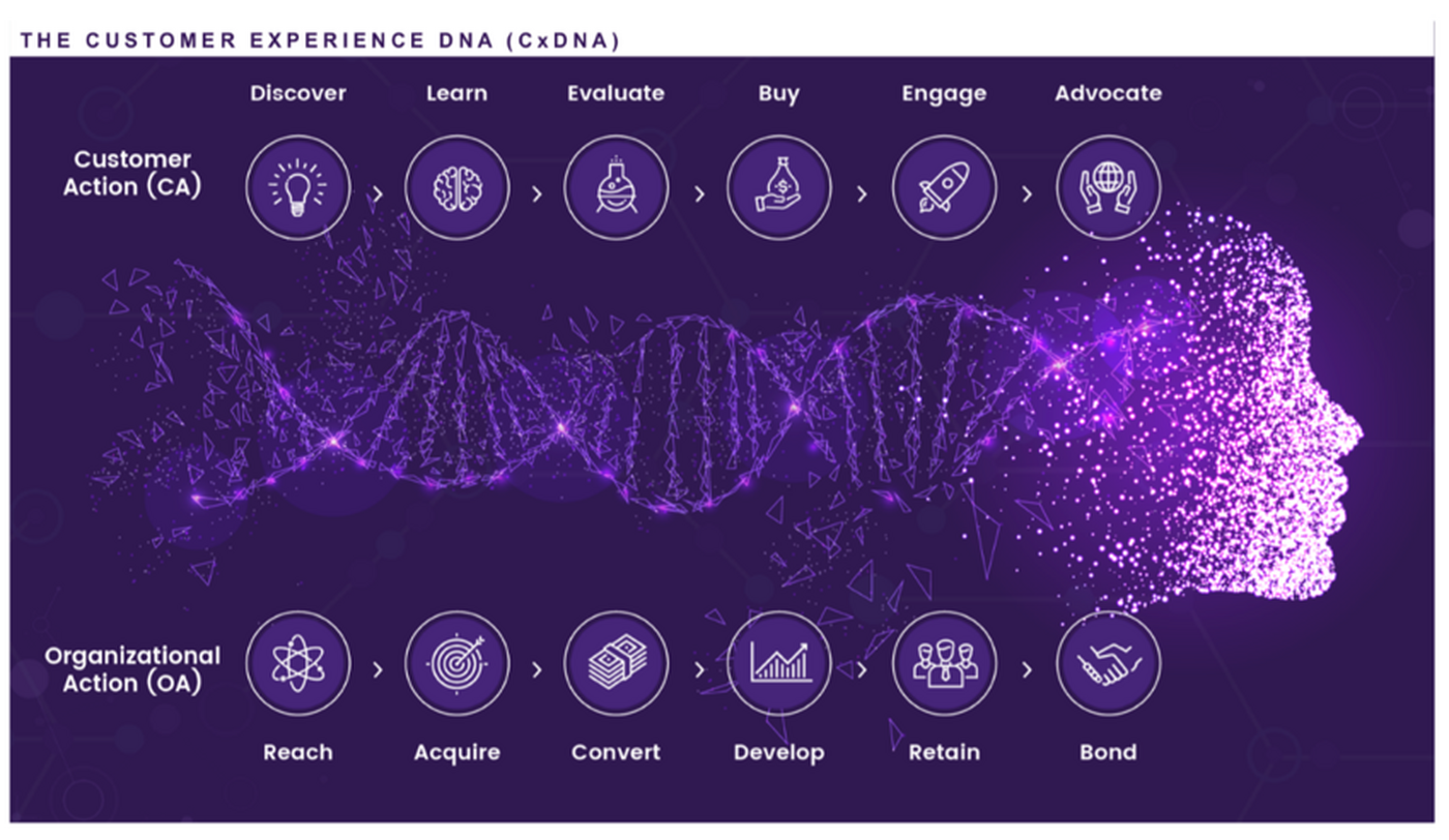 customer experience DNA