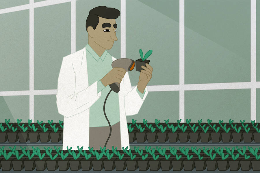 Cannabis grower scans seedling barcode.