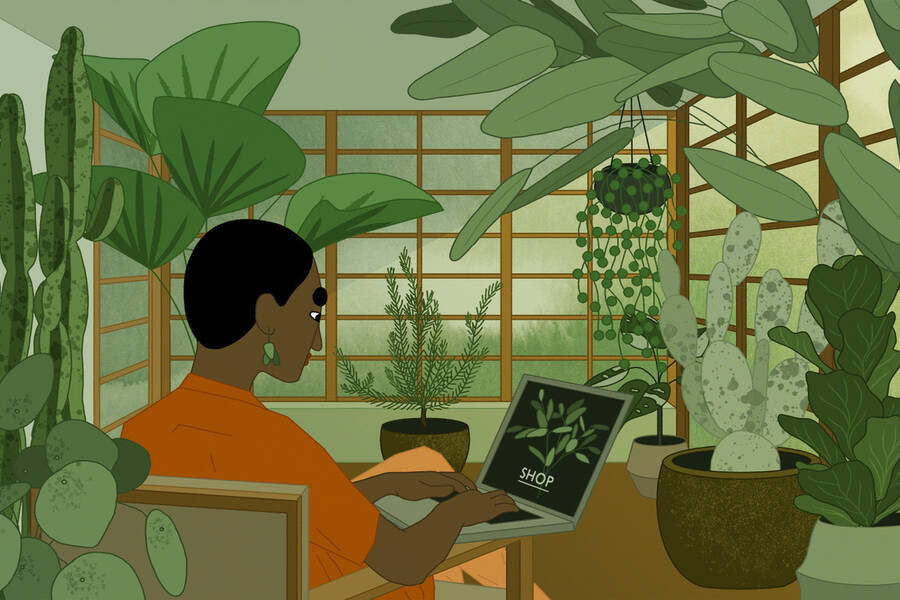 Woman surfs web in room full of plants