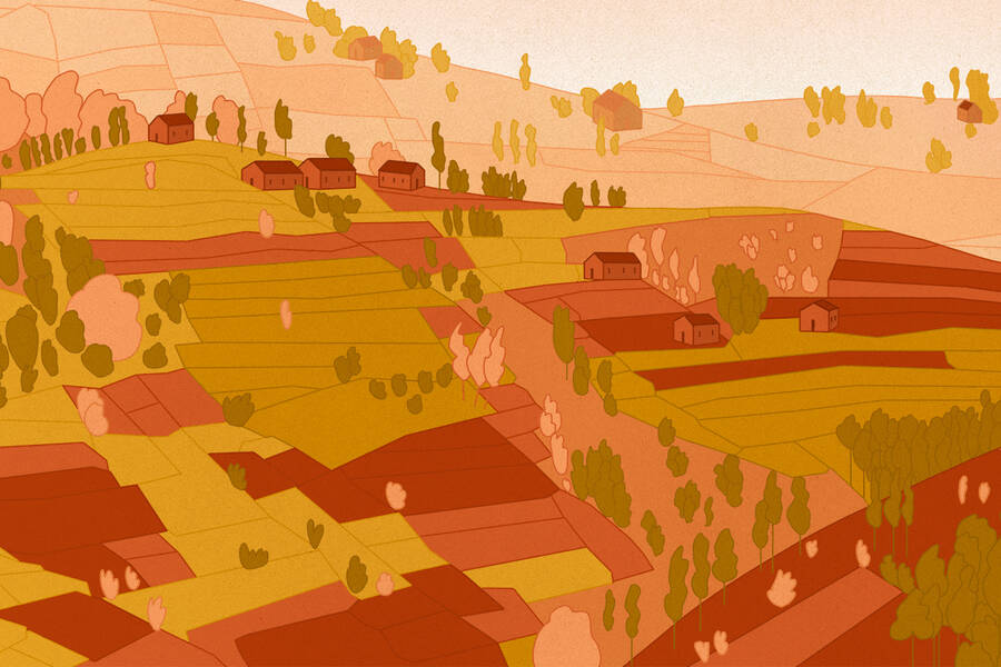 coffee farms and mills in rural Kenya