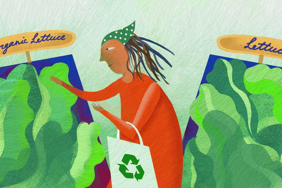 woman chooses organic lettuce in grocery