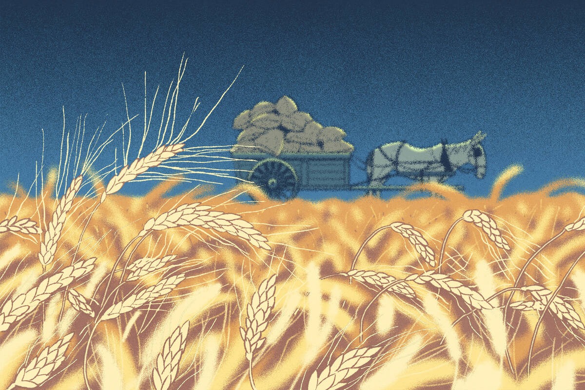 A horse-drawn wagon pulls wheat through an autumnal wheatfield