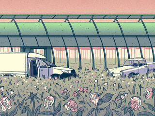 field of wilting flowers and abandoned trucks in front of greenhouse.