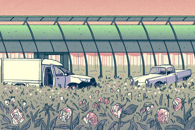 field of wilting flowers and abandoned trucks in front of greenhouse.