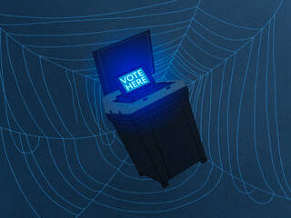 Voting machine in a spider web
