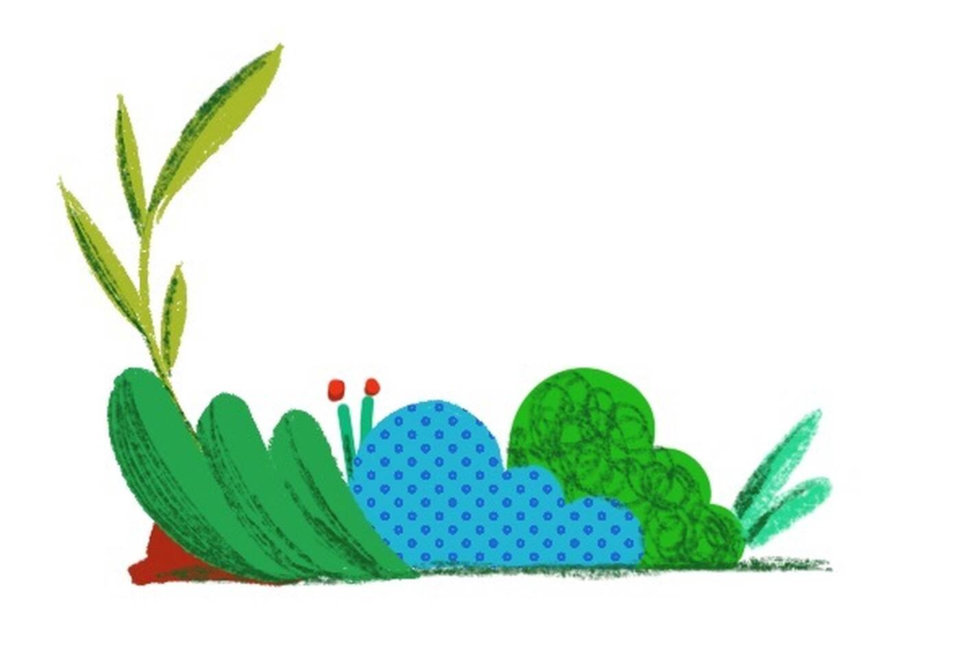 plants