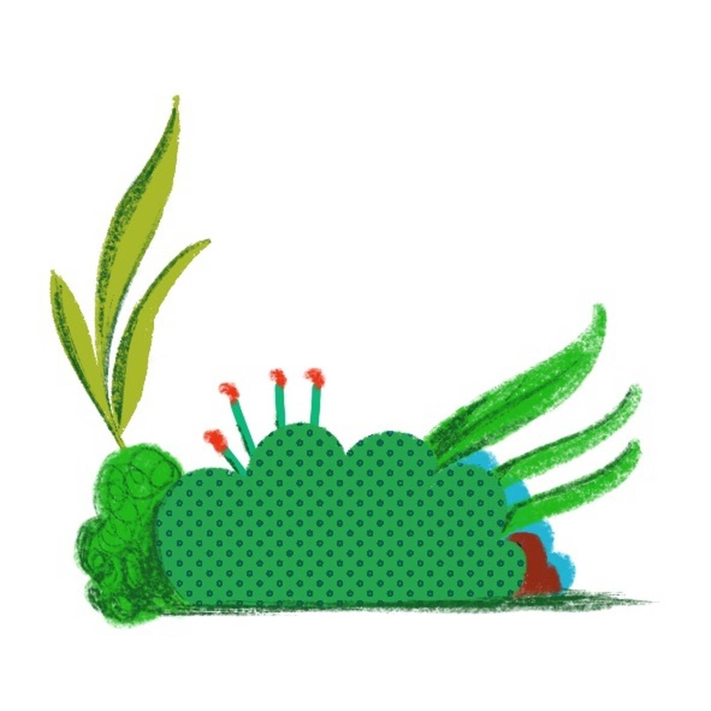 Plants