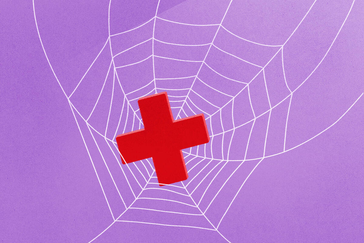spider's web holding a red cross