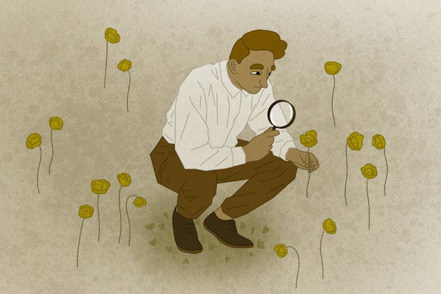 A man chooses flowers in a meadow