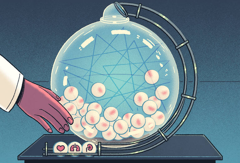 illustration of lottery ball spinner with tiny illustrations of human organs on the balls